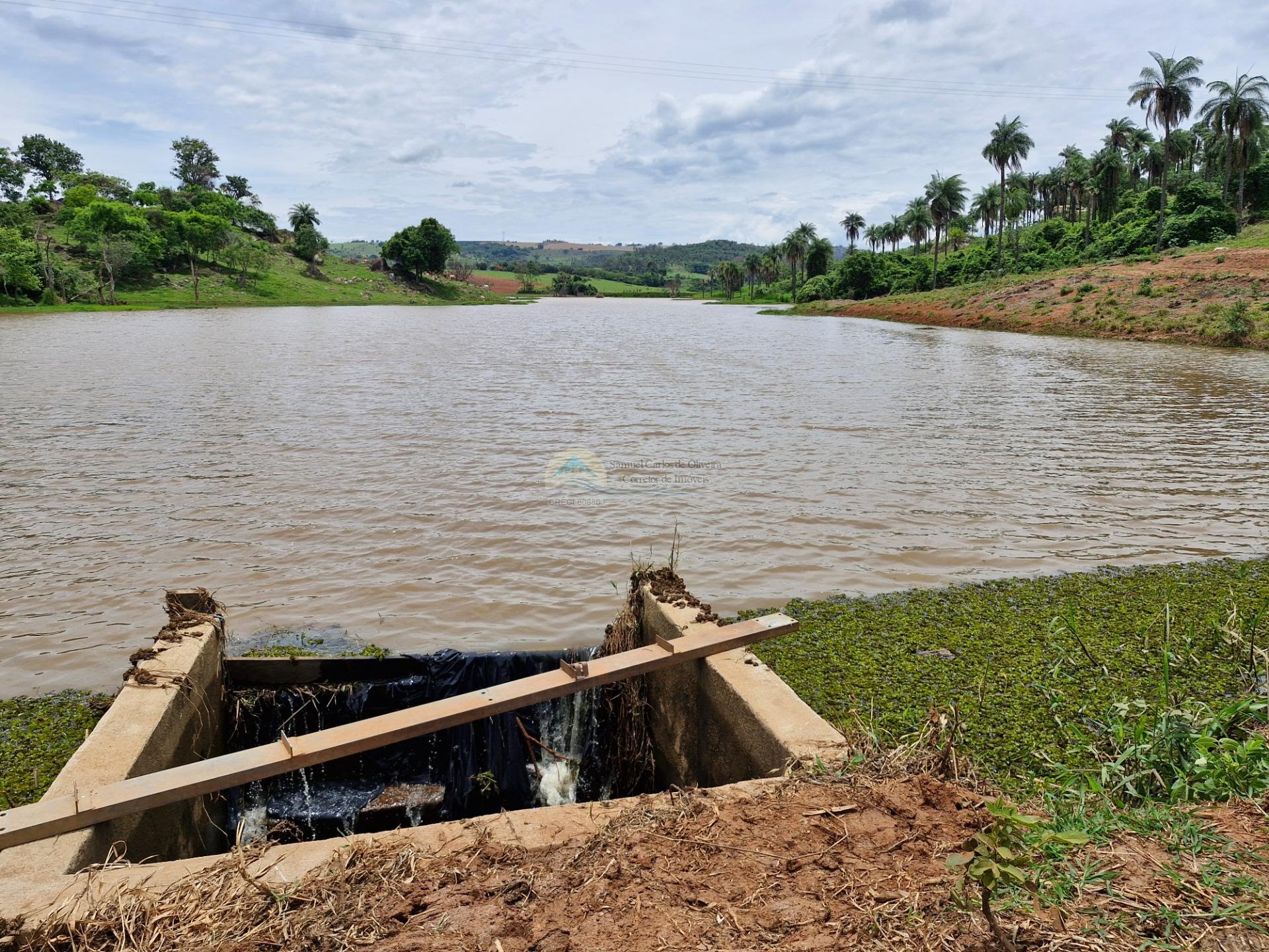 Fazenda a venda em Itobi SP