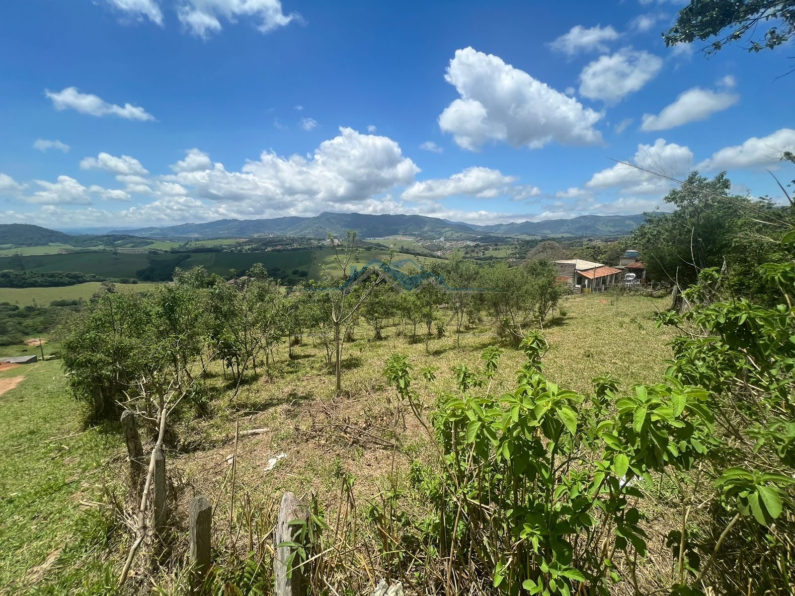Terreno 