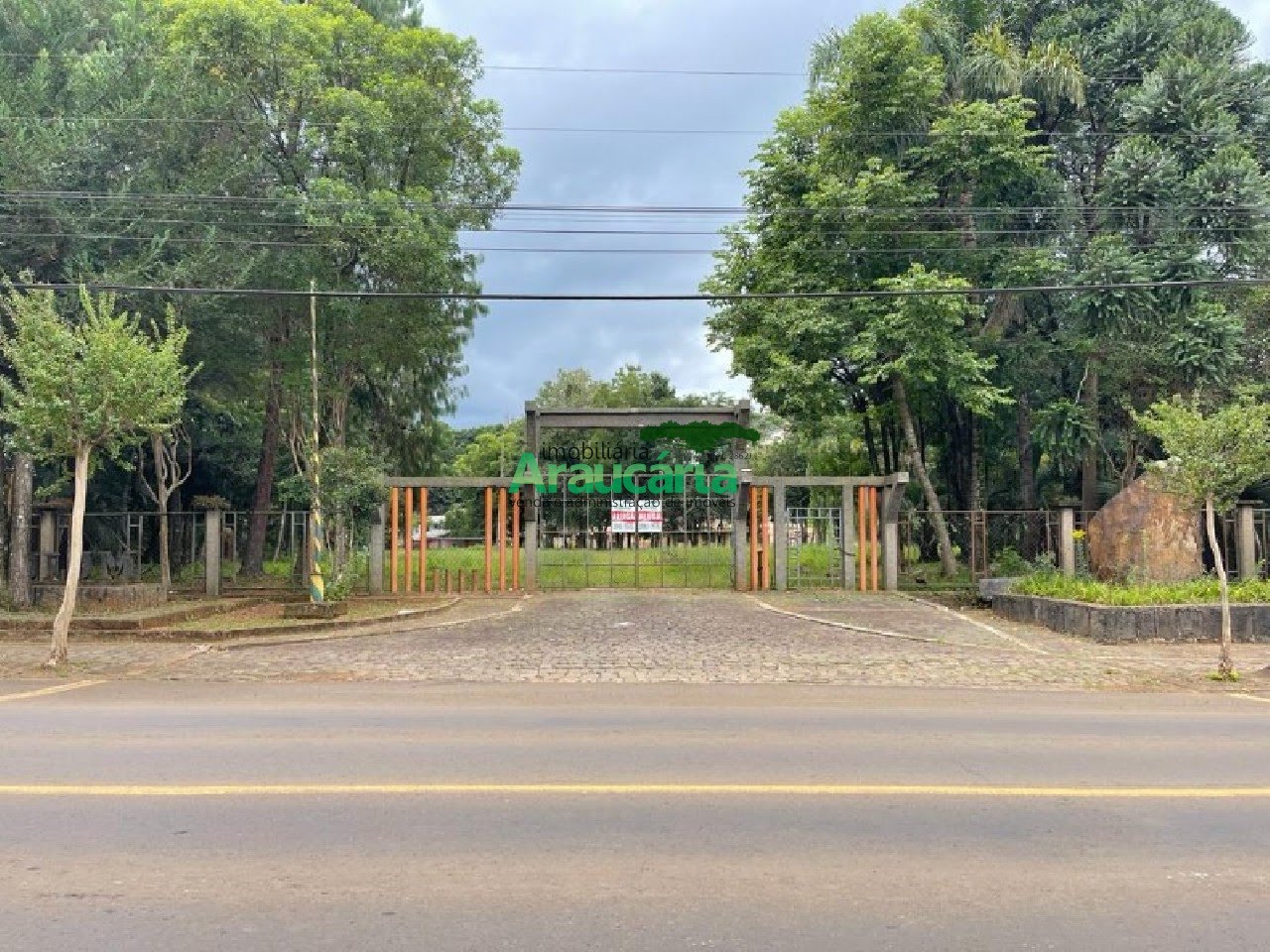 Foto 01