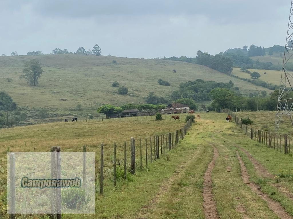 Fazenda a Venda