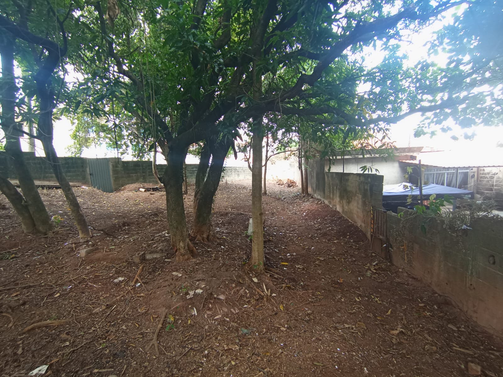 Apartamento à venda no Vila Zat, São Paulo (SP) — foto 11 de 16