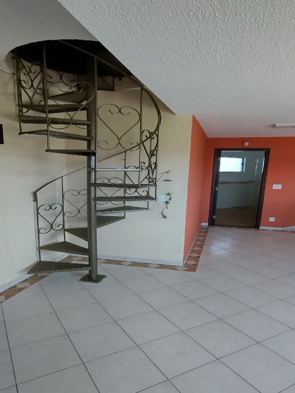 Foto 06