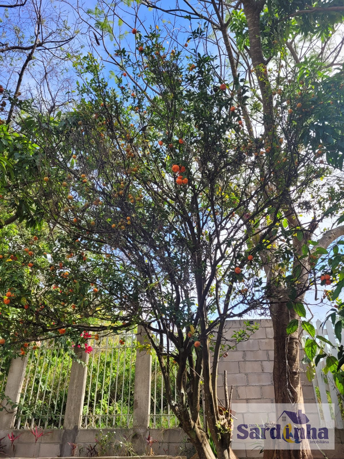 Apartamento à venda com 4 quartos, 2 suítes, 5 vagas e 600m² no Itupeva (SP) — foto 18 de 30