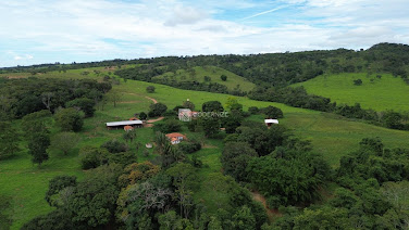Fazenda em Pires Belo  -  Catalão