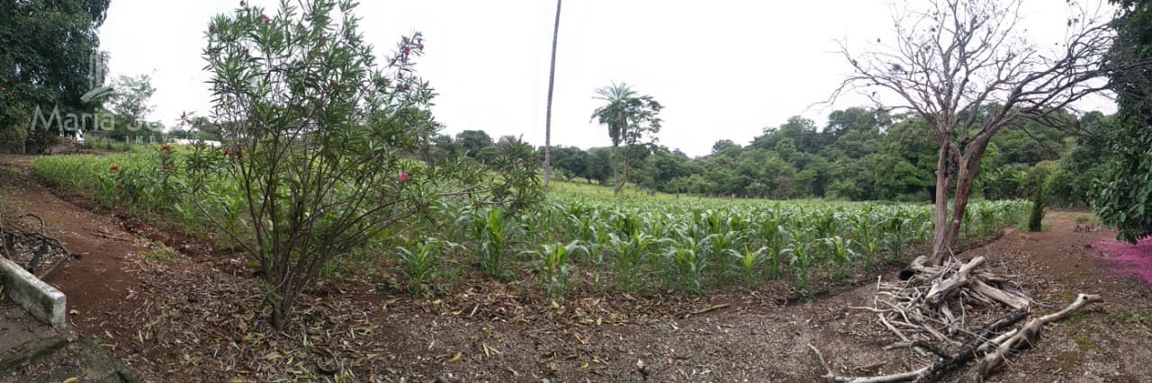 Rural à venda com 16000m² de terreno no Zona Rural de Prudente de Morais Mg, Prudente de Morais (MG) — foto 22 de 30