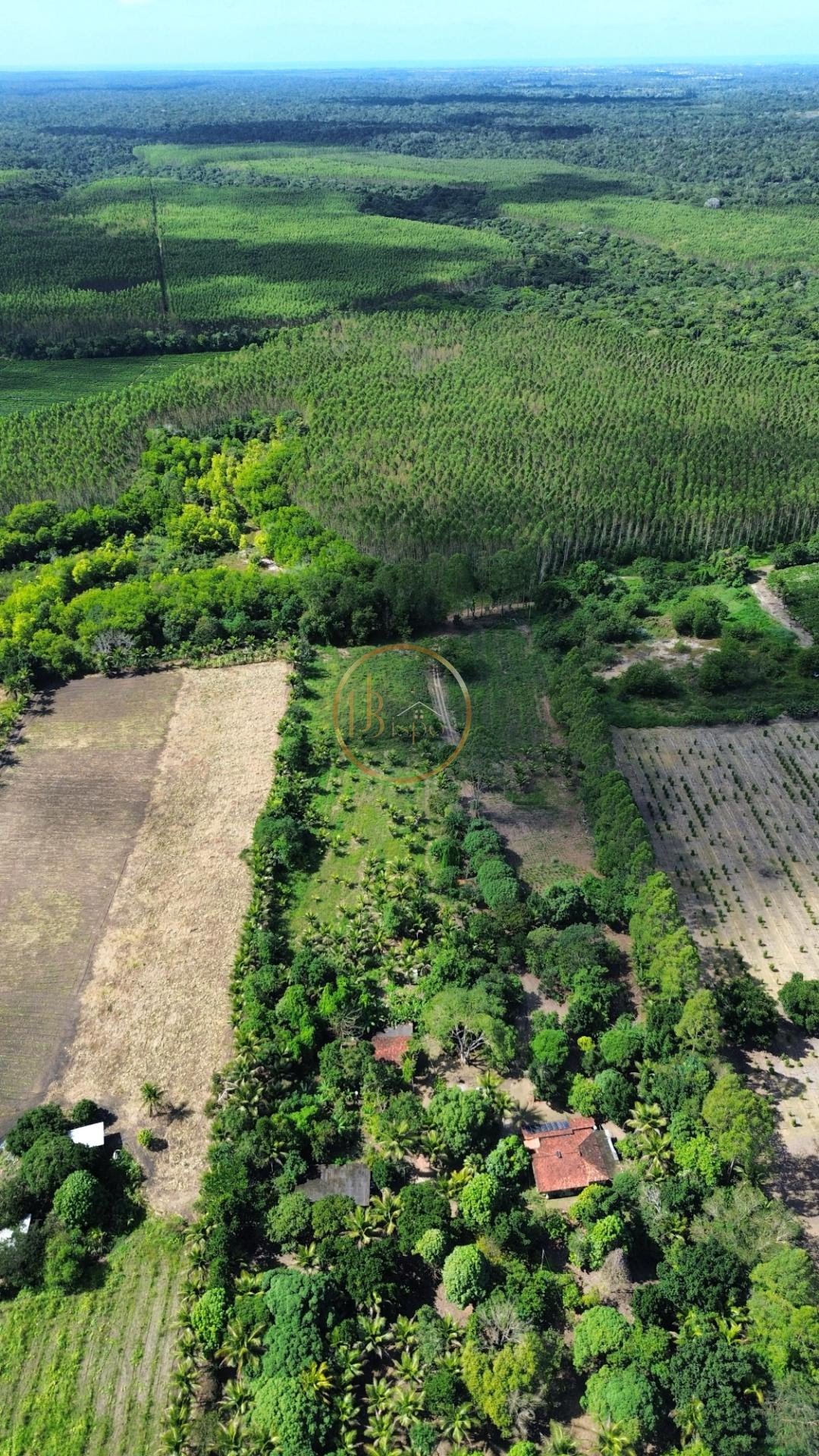 Rural à venda com 35000m² de terreno no Br367, Porto Seguro (BA) — foto 10 de 17