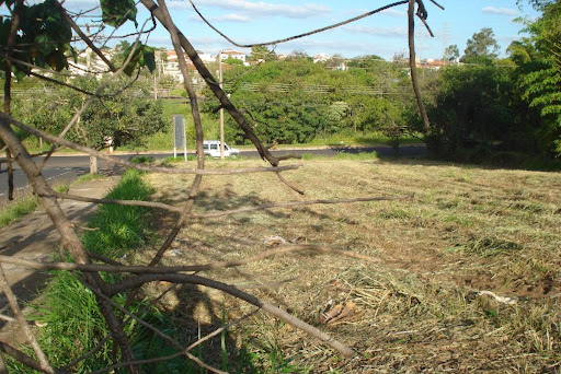 Vista dos Fundos