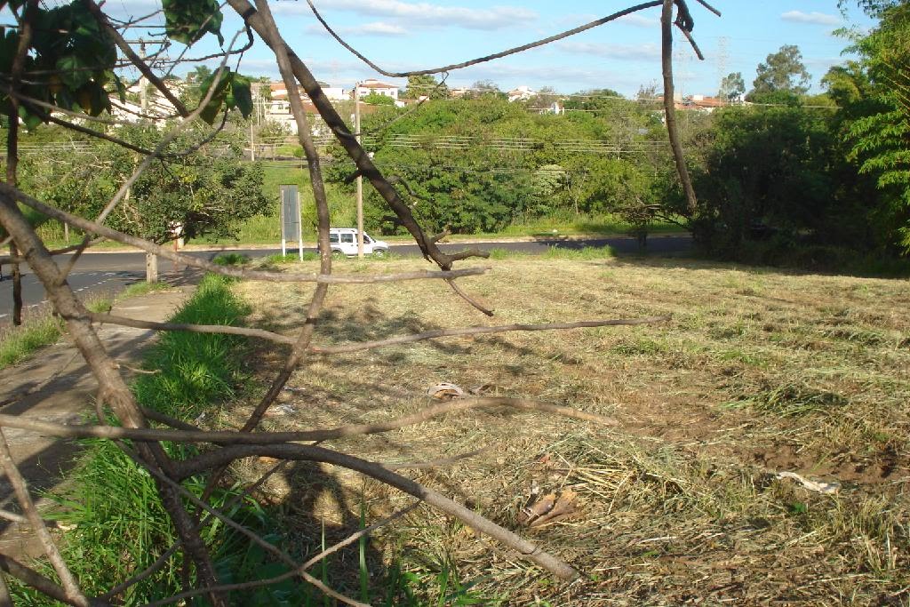 Vista dos Fundos