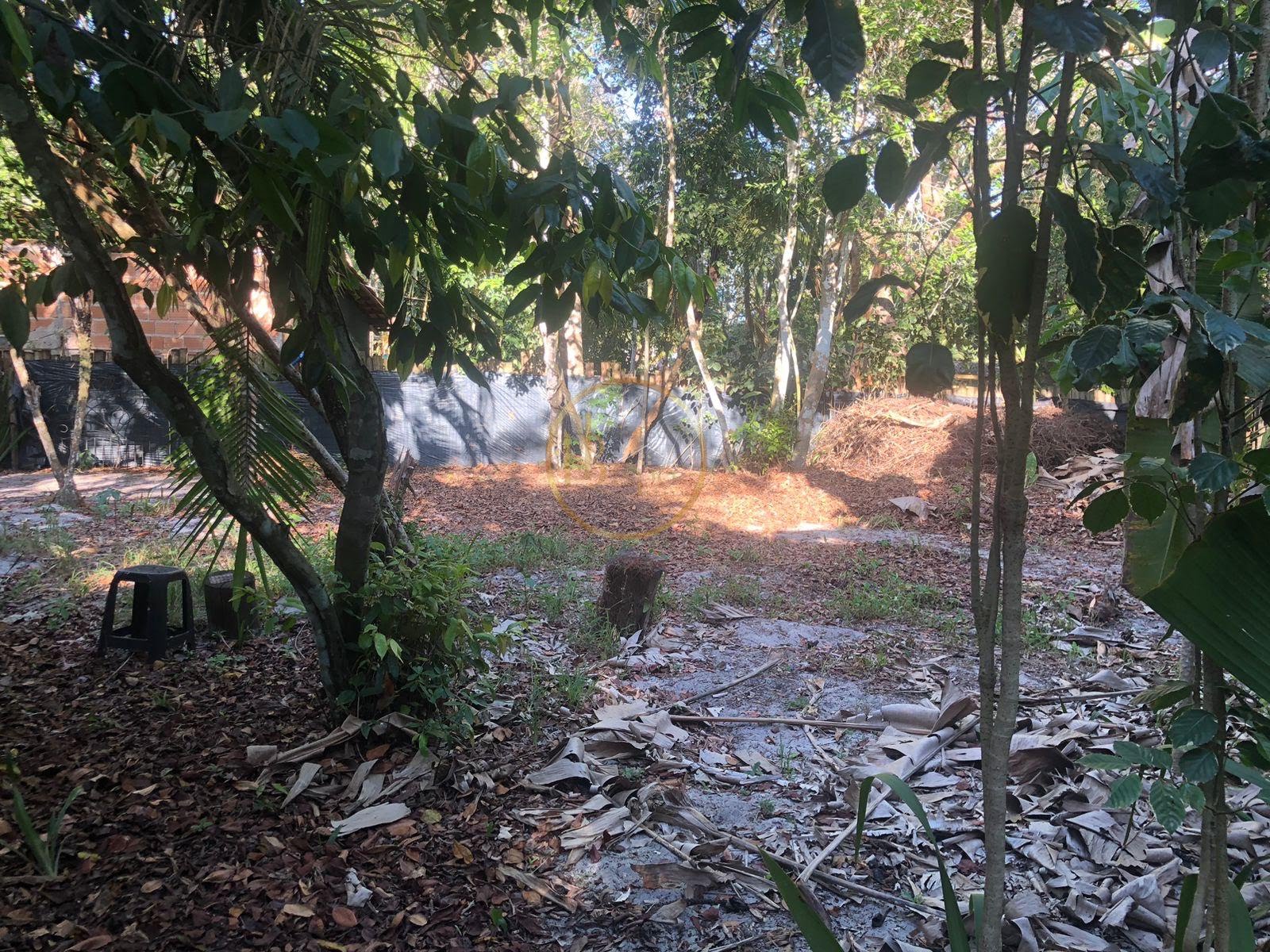 Terreno à venda com 750m² de terreno no Arraial D'ajuda ( Estrada da Balsa ), Porto Seguro (BA) — foto 4 de 8