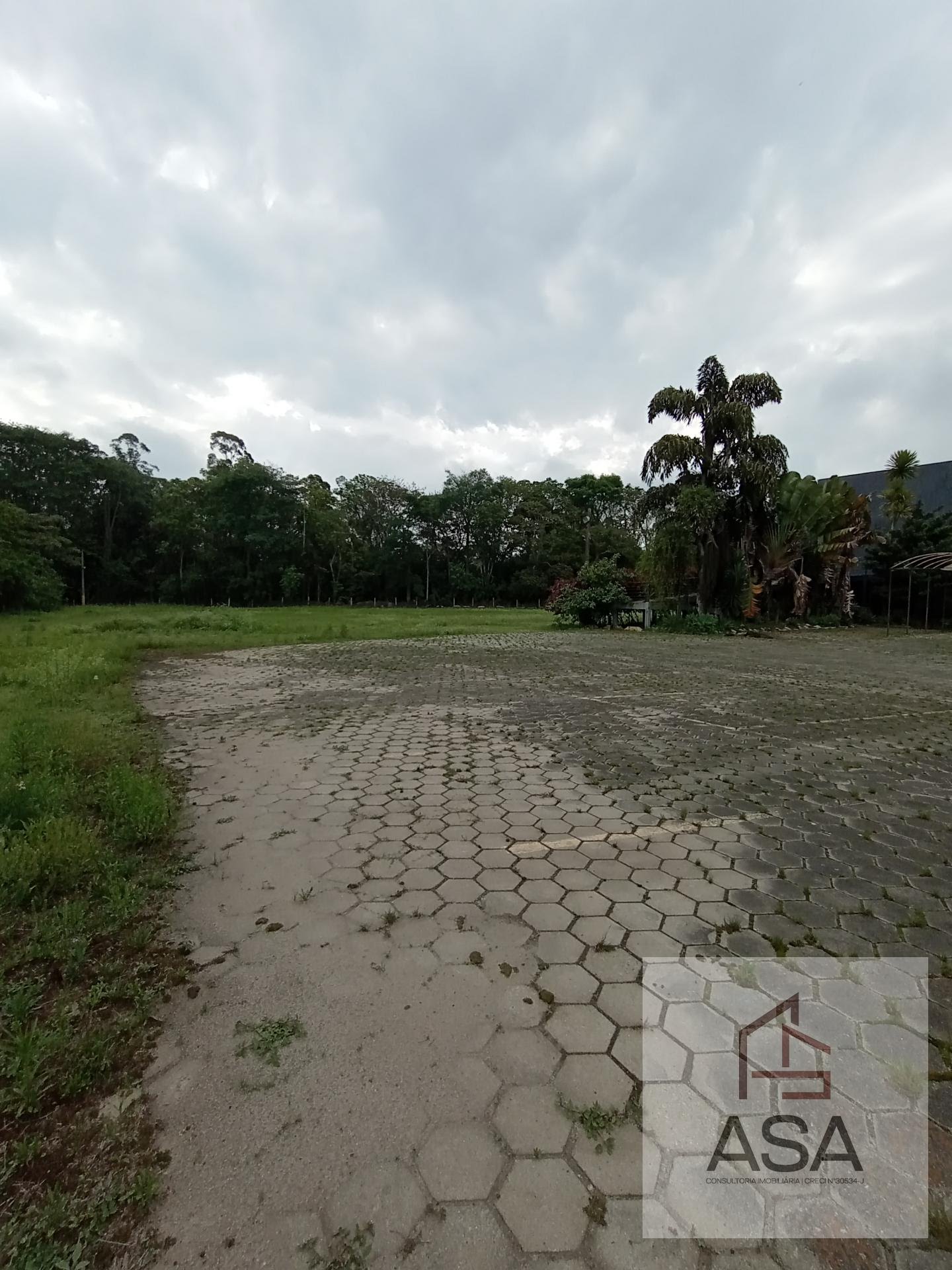 Depósito-Galpão, 2000 m² - Foto 6