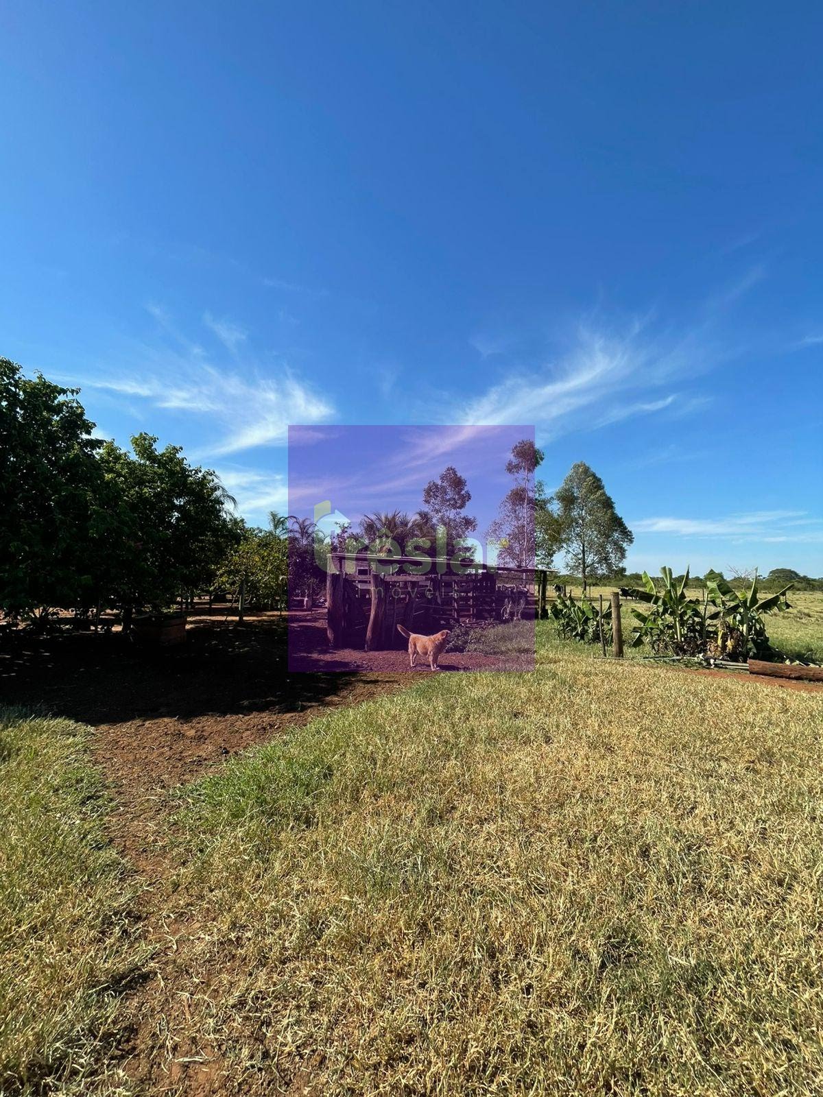 Rural à venda com 80m² de terreno no Chácara, Três Lagoas (MS) — foto 12 de 12