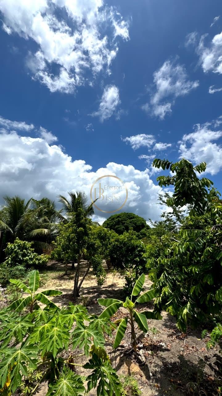 Casa à venda com 3 quartos, 2 suítes, 2 vagas e 140m² no Sta.cruz Cabralia, Santa Cruz Cabrália (BA) — foto 2 de 18