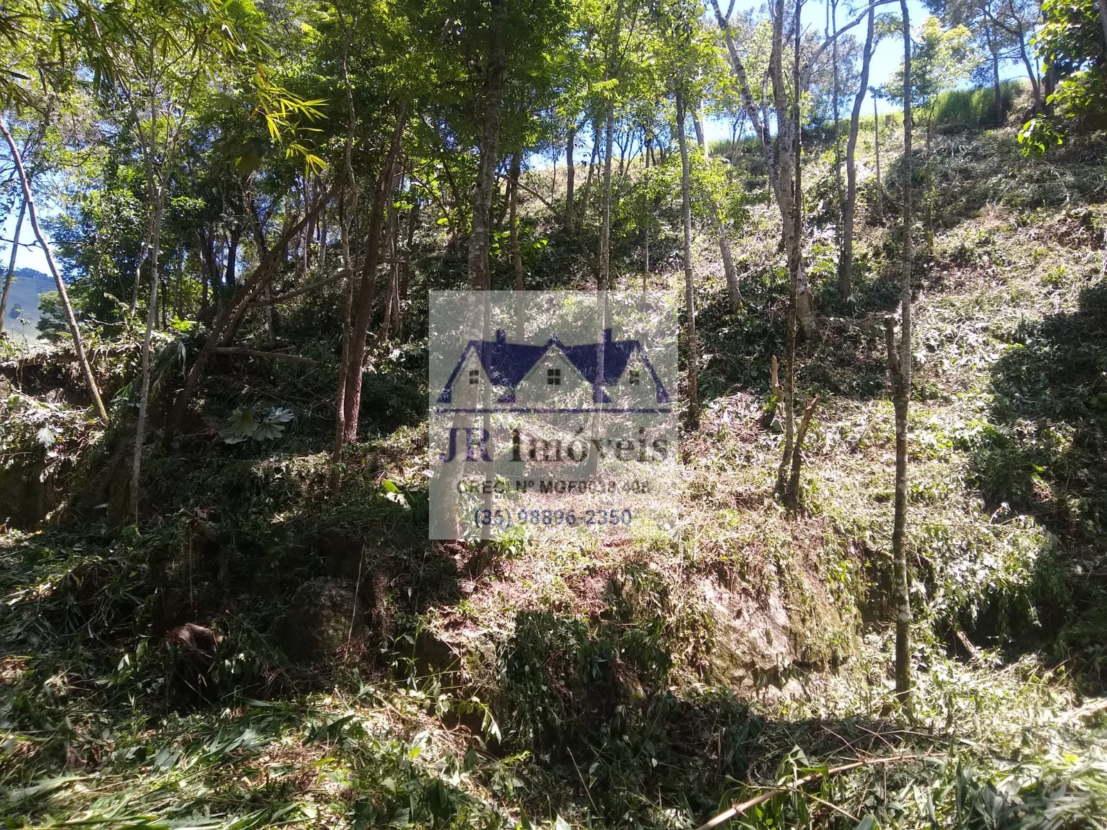Terreno à venda com 3600m² de terreno no Taquaral, Delfim Moreira (MG) — foto 10 de 18