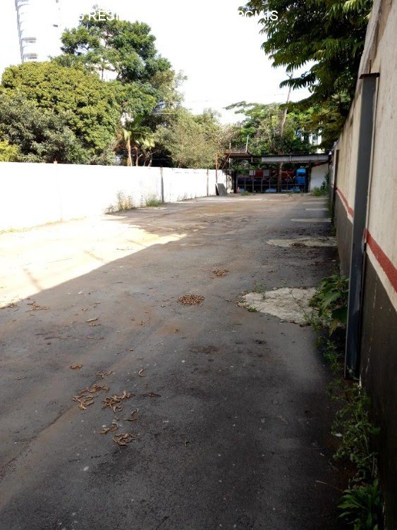 Foto 01