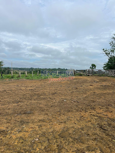 Fazenda em Zona Rural  -  Machadinho d'Oeste