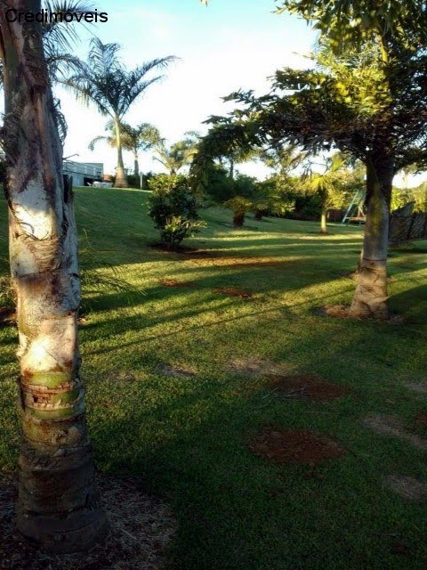 Foto 07