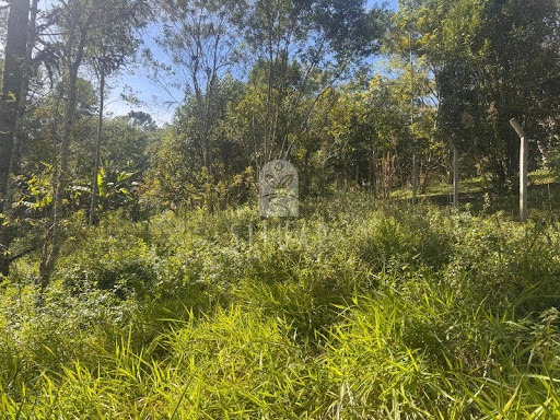 Foto 07