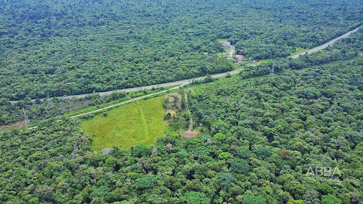 Chácara na Estrada Cambará -  Matinhos