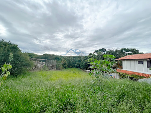 Frente