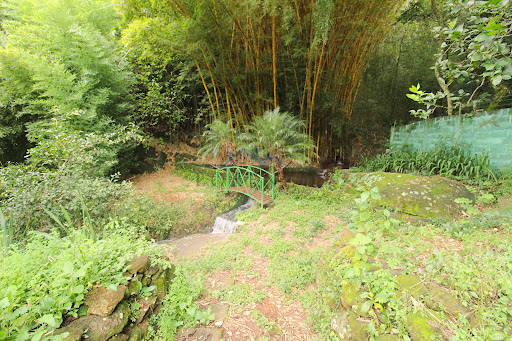 Área de mata e cachoeira 