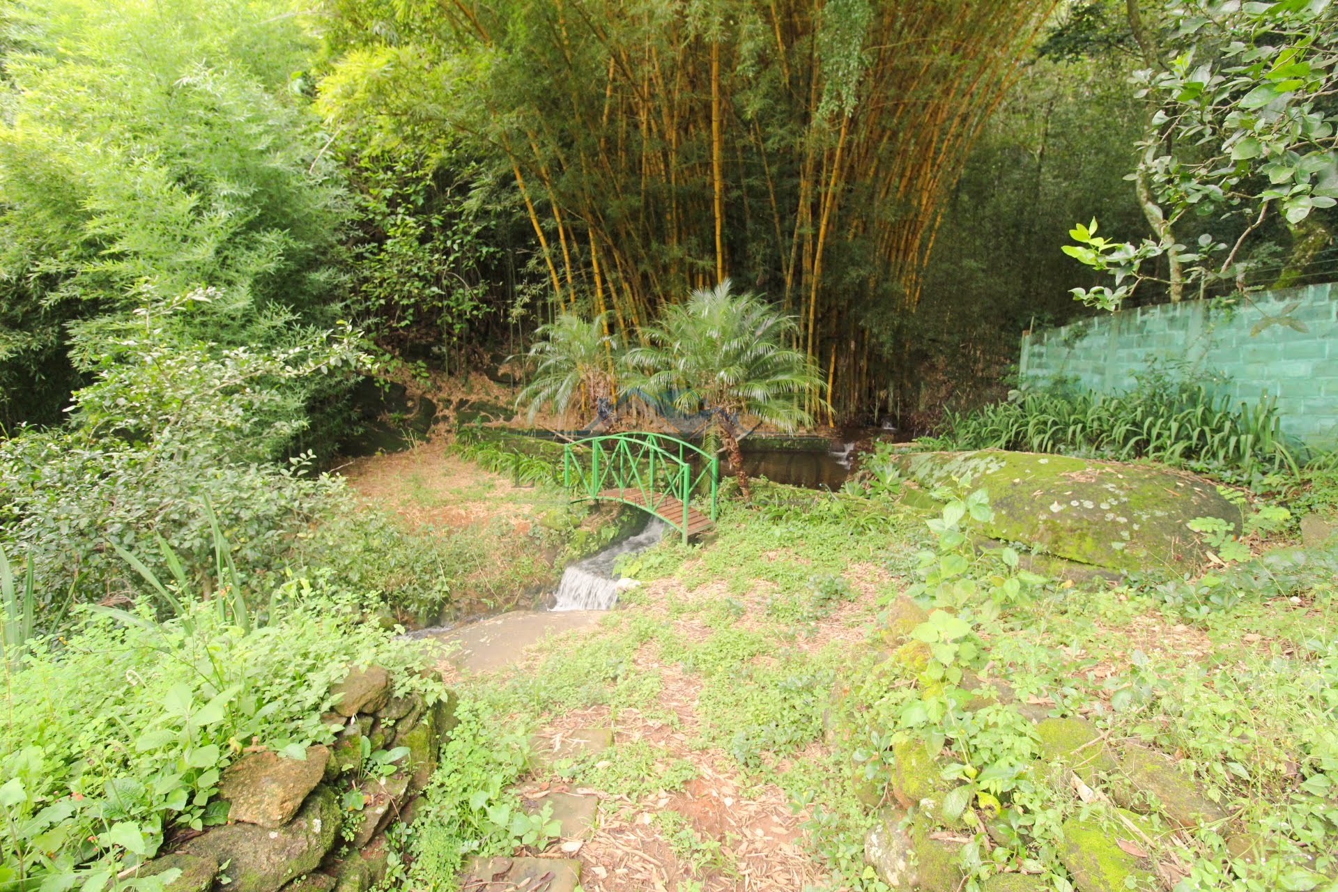 Área de mata e cachoeira 