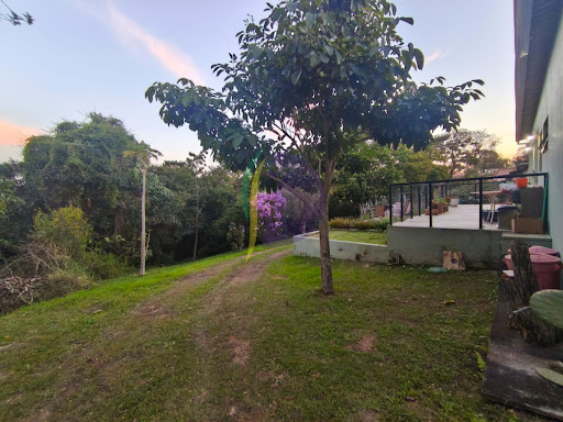 Chácara em Champirra  -  Jundiaí