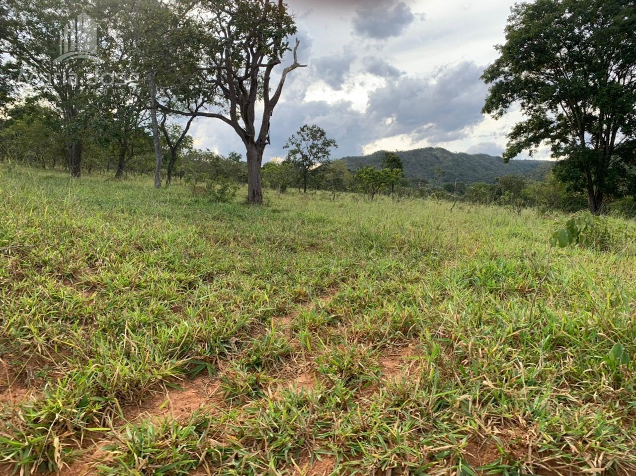 Rural à venda com 2120000m² de terreno no Zona Rural de Paracatu, Paracatu (MG) — foto 11 de 30