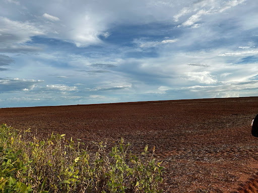 Fazenda em Zona Rural  -  Campo Grande