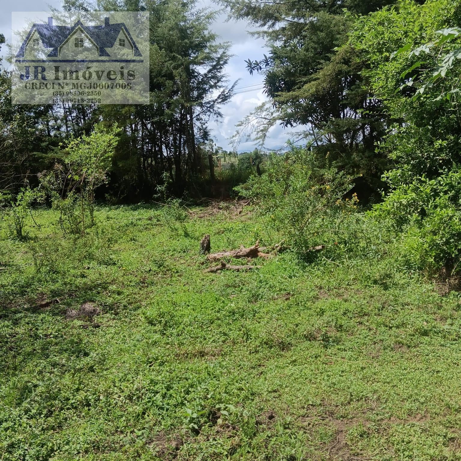 Terreno à venda com 3000m² de terreno no Carneiros, Piranguinho (MG) — foto 17 de 21
