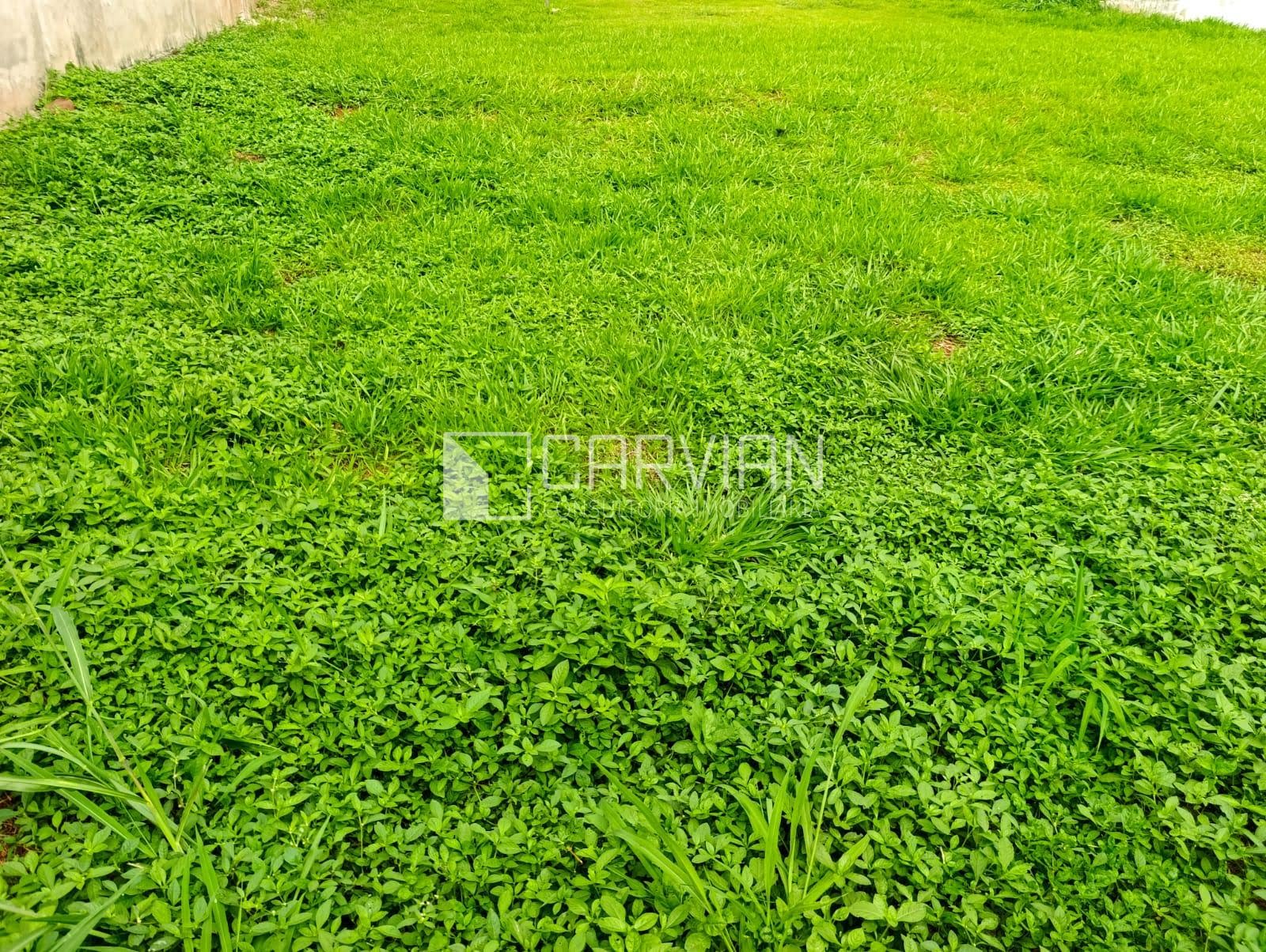 Terreno à venda com 259m² de terreno no Terras de San Gabriel, Ribeirão Preto (SP) — foto 9 de 14