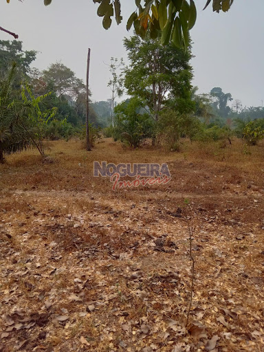 Chácara em gleba 24  -  Urupá