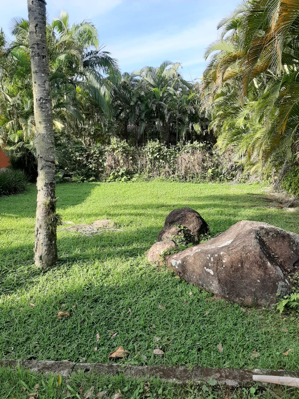Terreno à venda com 450m² de terreno no Horto (morro das Moças), Ubatuba (SP) — foto 6 de 8