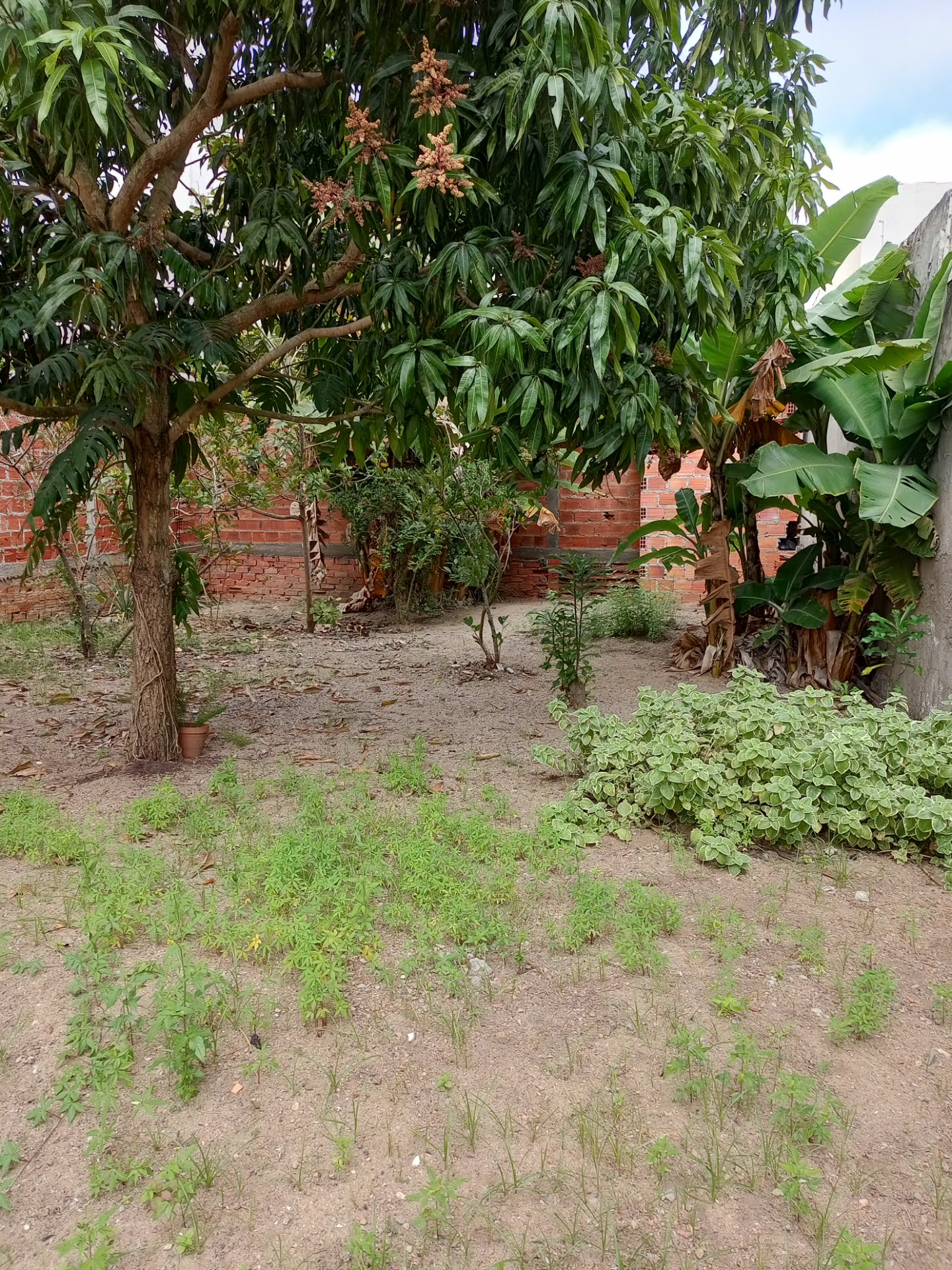 Terreno à venda com 325m² de terreno no Jardim Acácia, Feira de Santana (BA) — foto 6 de 7