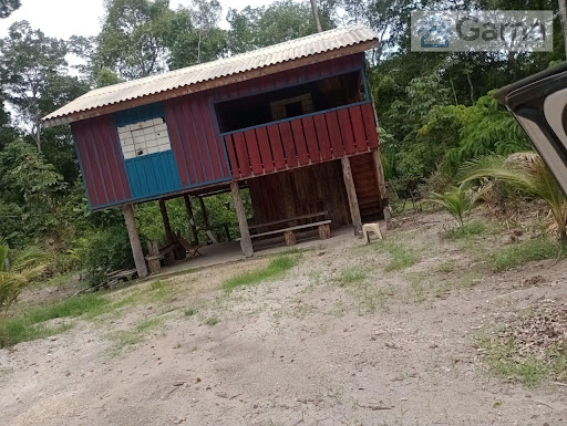 Rural em Linha 70   -  Pimenta Bueno Alagado 130km ate o lot 