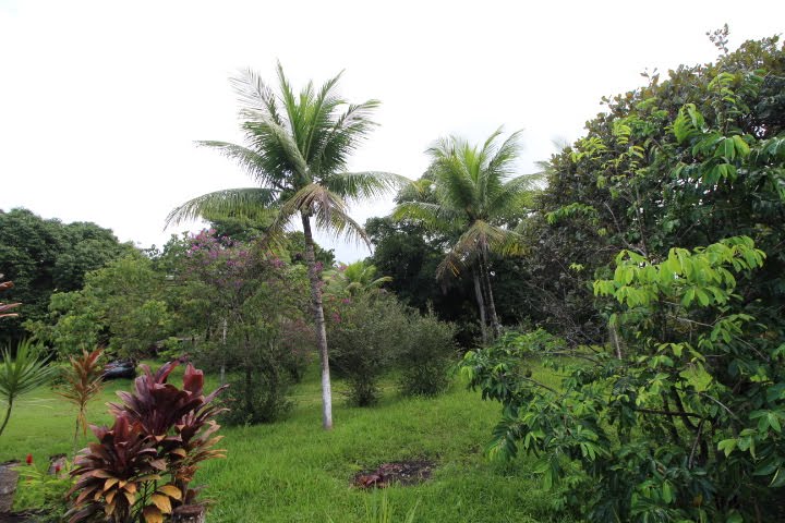 Casa à venda com 10000m² no Guabiraba, Recife (PE) — foto 21 de 23