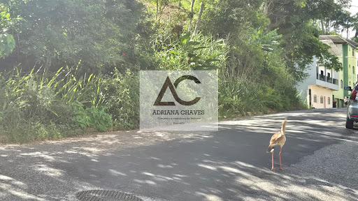 Lote / Terreno em Esplanada  -  Ponte Nova