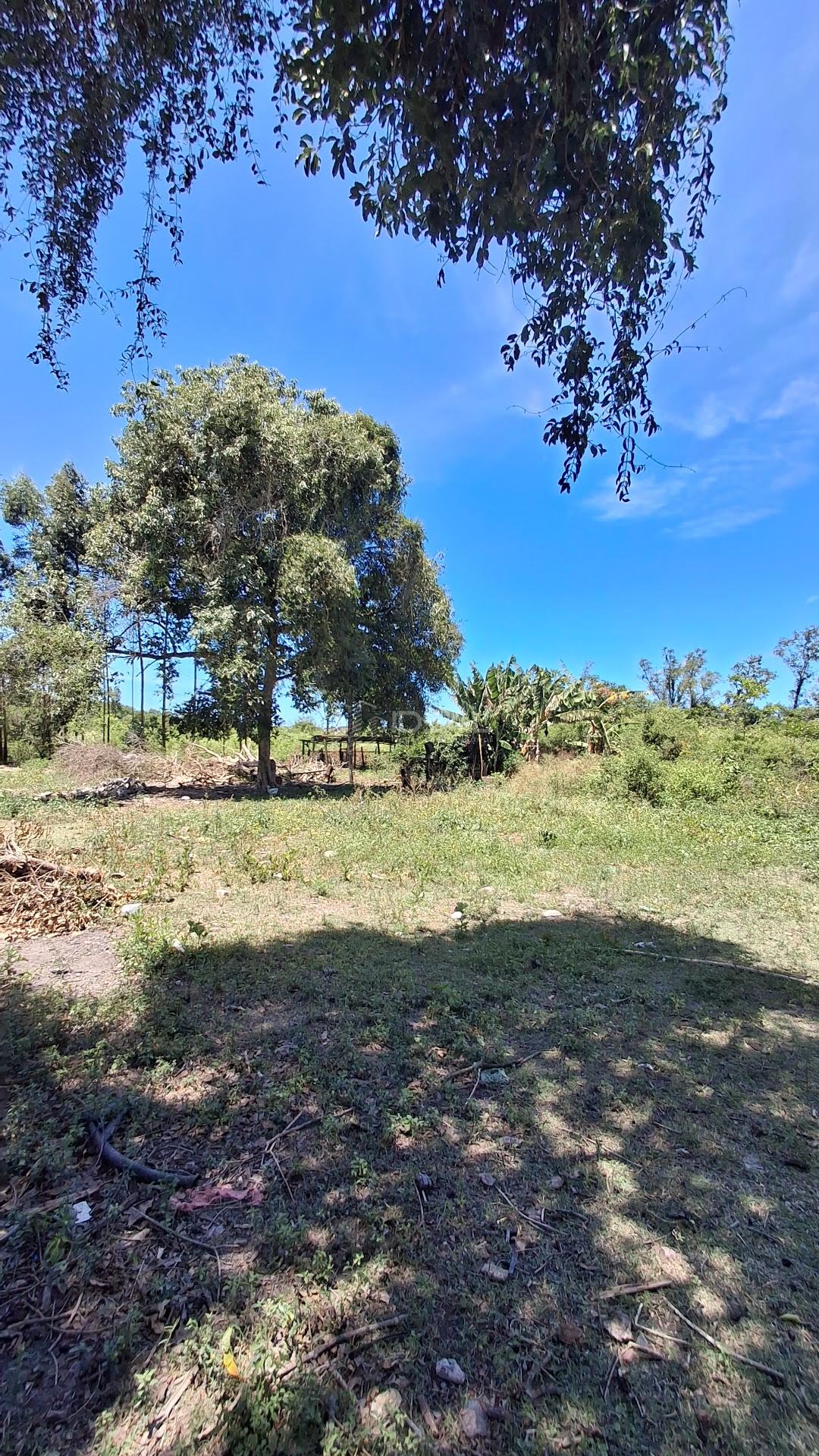 Rural à venda com 33000m² de terreno no Vila Manhães, Campos dos Goytacazes (RJ) — foto 10 de 10