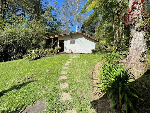 Foto 01