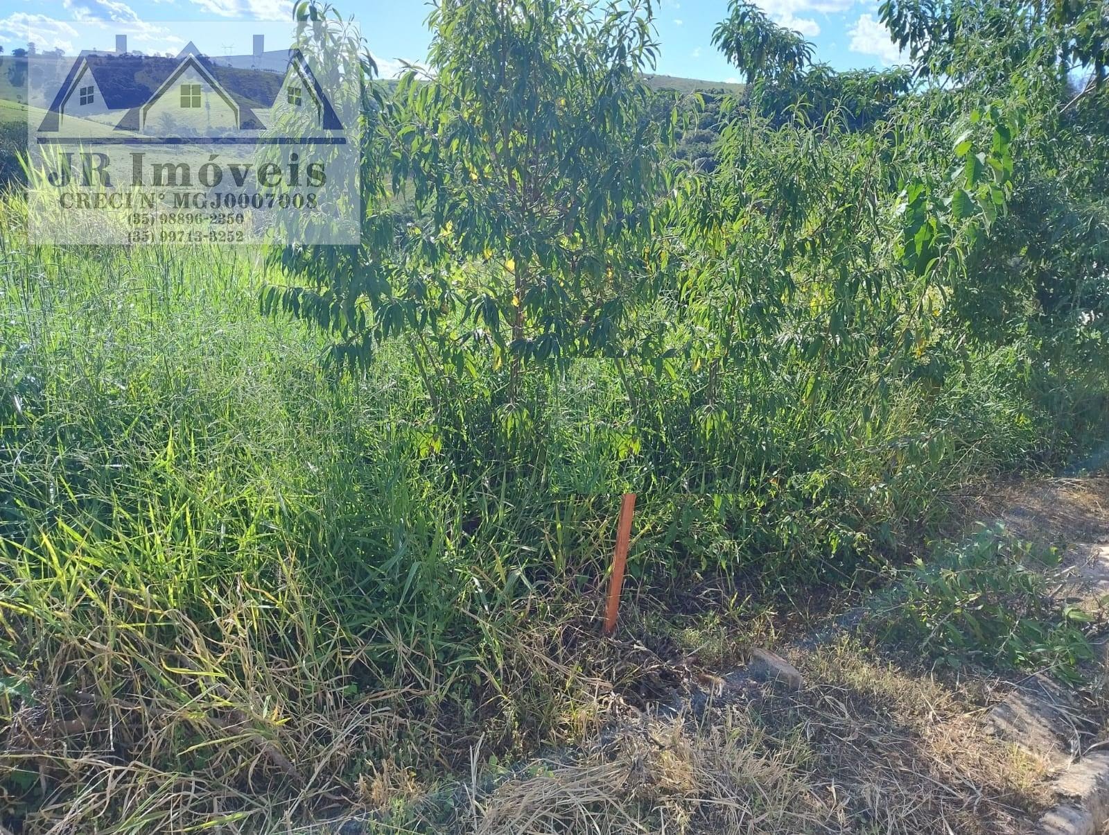 Terreno à venda no Carneiros, Piranguinho (MG) — foto 7 de 12