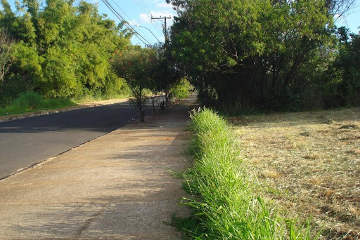 Vista da Avenida JK
