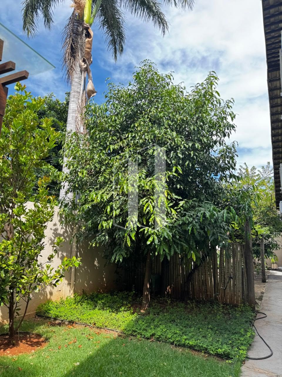 Casa à venda com 4 quartos, 2 suítes, 4 vagas e 246m² no Jardim América, Goiânia (GO) — foto 17 de 18
