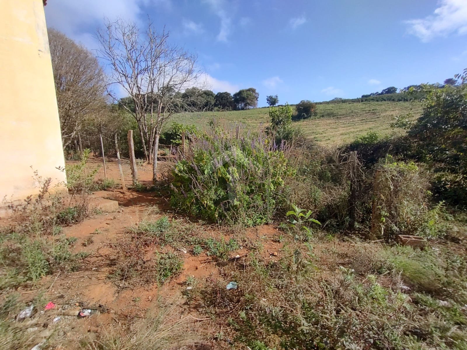 Fazenda, 5 hectares - Foto 16
