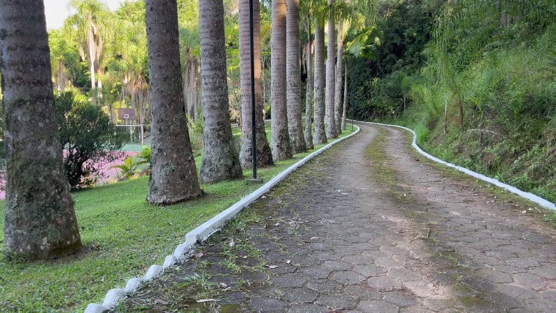 Foto 50