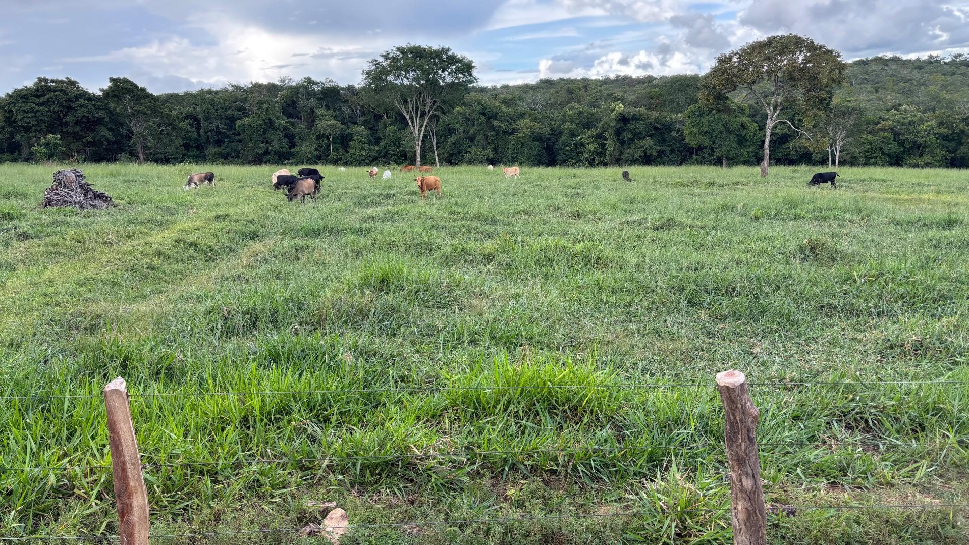 Rural à venda com 50000m² de terreno no Zona Rural, Itapuranga (GO) — foto 13 de 30