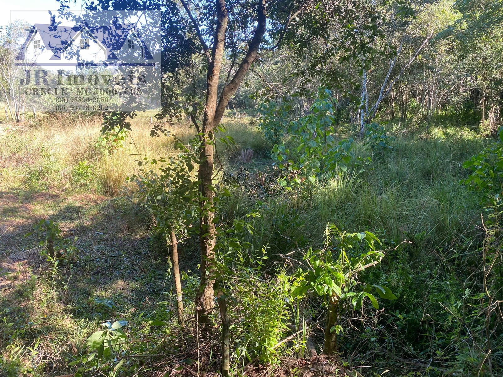 Terreno à venda com 21840m² de terreno no Grota, Itajubá (MG) — foto 13 de 23