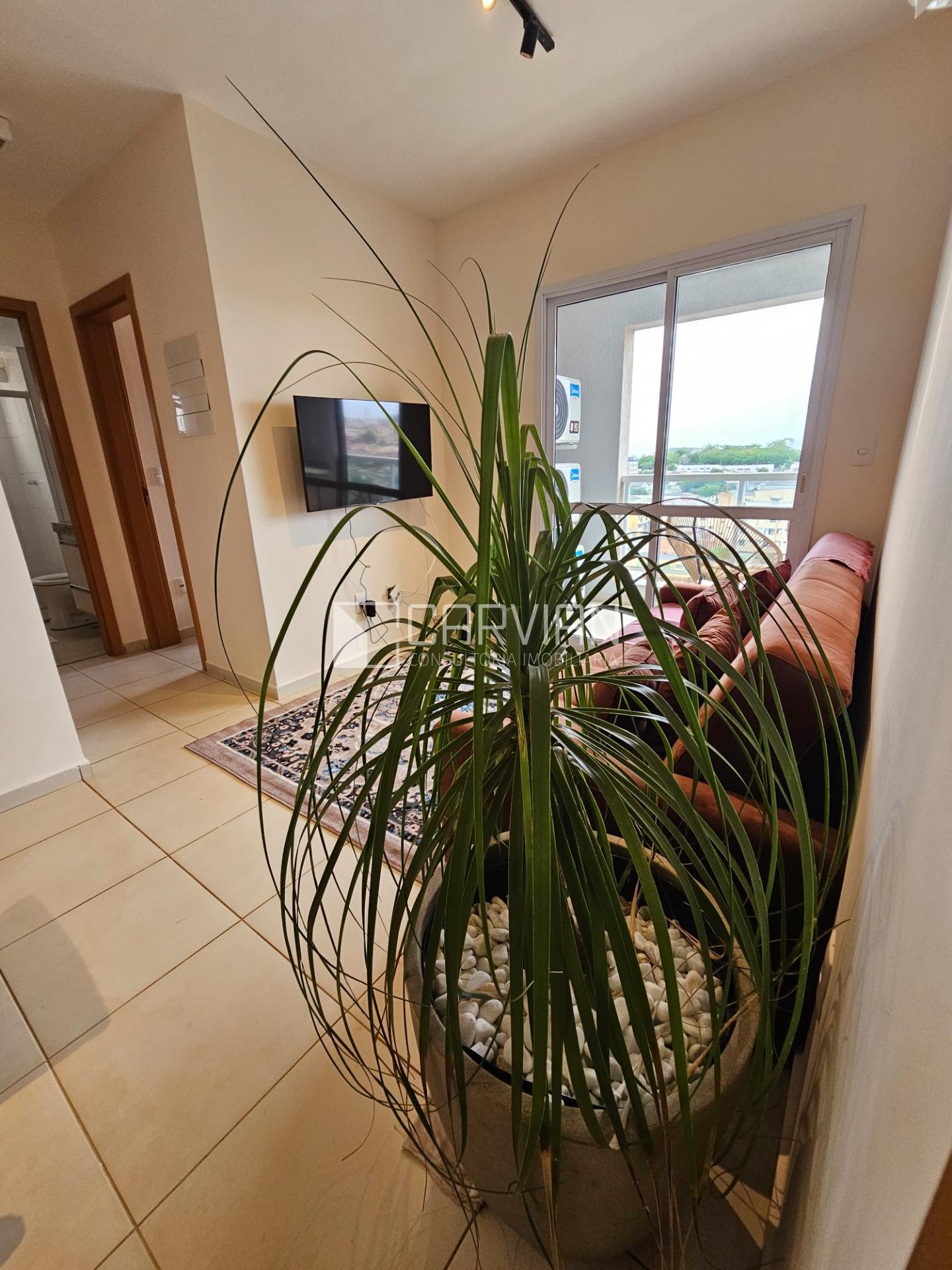 Apartamento à venda com 2 quartos, 1 banheiro, 1 vaga e 55m² no Jardim Palma Travassos, Ribeirão Preto (SP) — foto 22 de 24