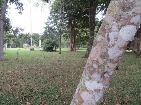 Rural à venda com 45000m² de terreno no Vargem Pequena, Florianópolis (SC) — foto 11 de 28