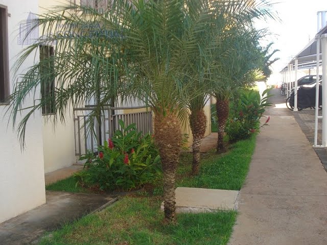 Paisagismo