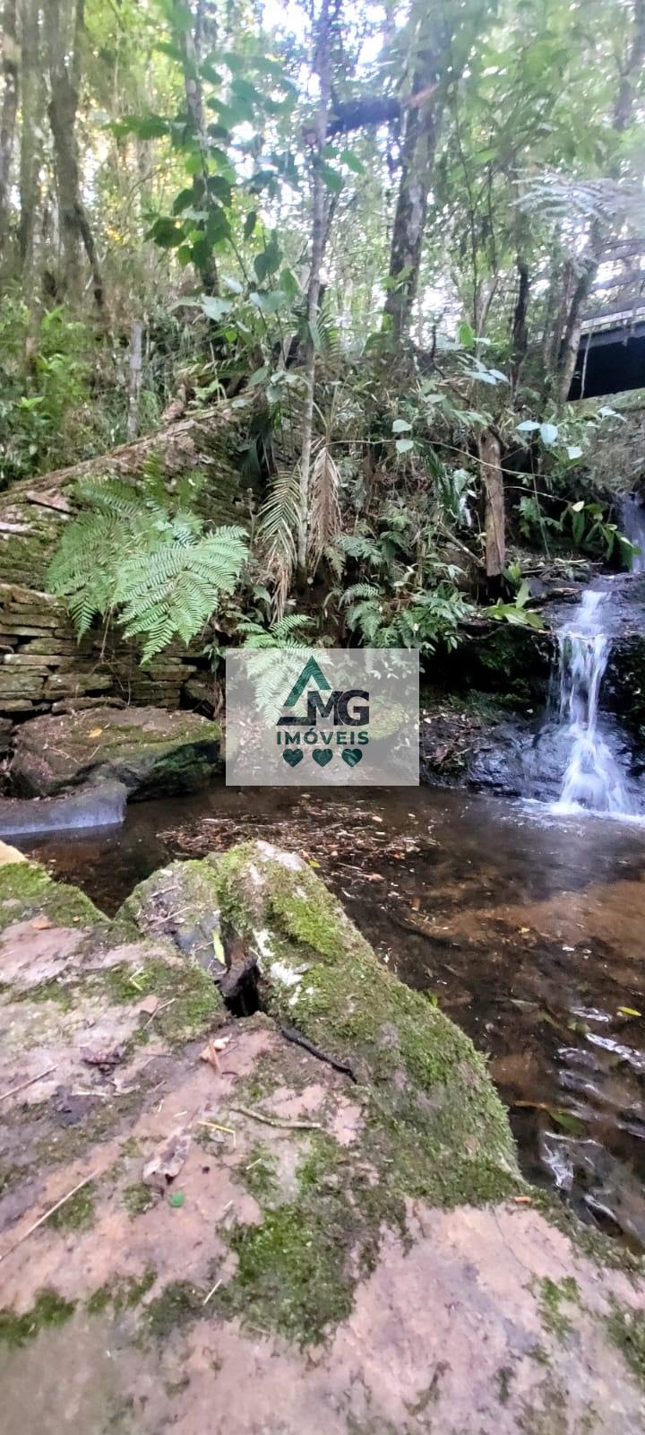 Rural à venda com 290000m² de terreno no Zona Rural São Tomé das Letras, São Thomé das Letras (MG) — foto 3 de 21
