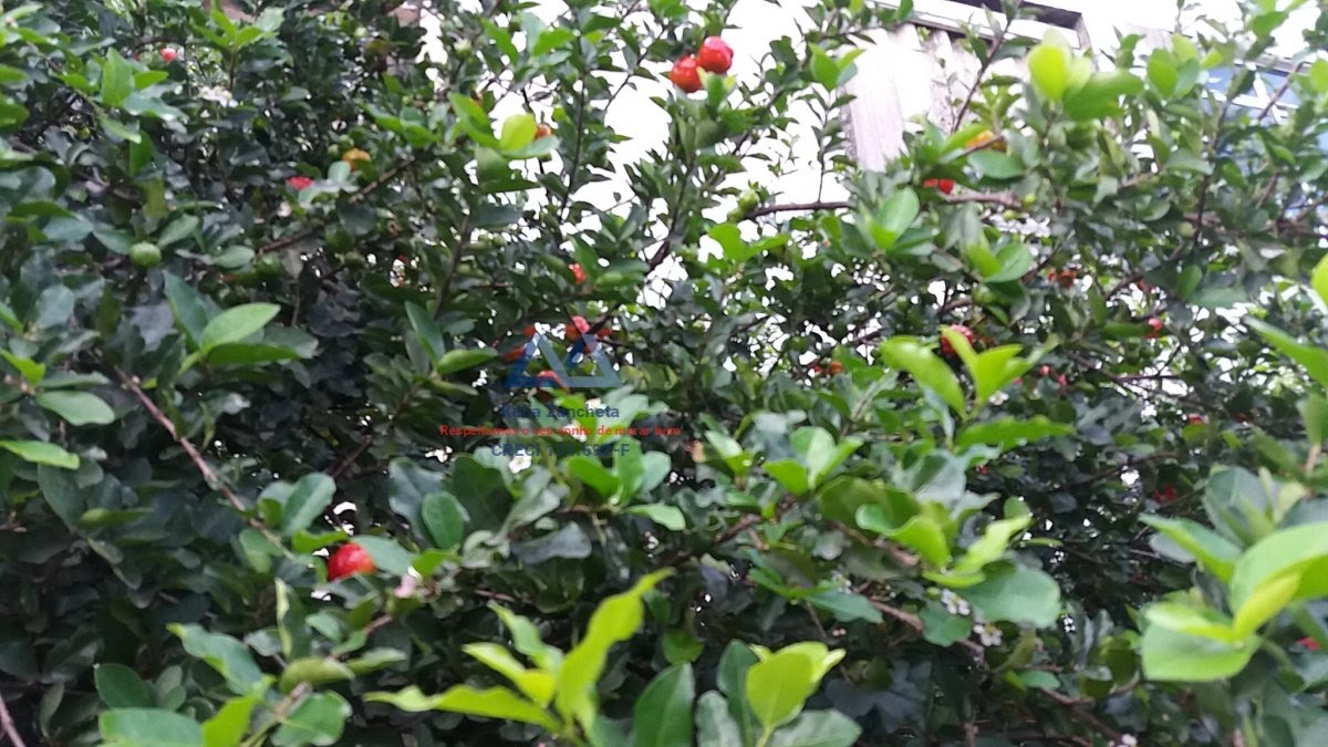 Terreno à venda com 475m² de terreno no Vila Campestre, São Paulo (SP) — foto 16 de 27